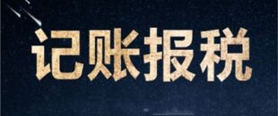 南山一家剛剛成立的新公司，要怎么記賬和報(bào)稅？