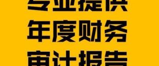 財務報表審計報告的費用是多少？